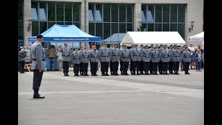 Gelöbnis Reservisten 30062018 JuliusLeberKaserne [upl. by Adiuqal]