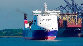 STENA FORETELLER  RoRo cargo ship outbound from harwich 🇬🇧 20624 [upl. by Yrkcaz]