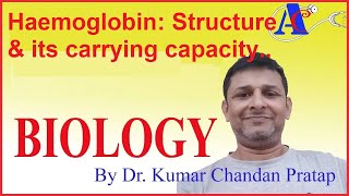 Haemoglobin Structure amp its carrying capacity [upl. by Milas]