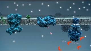 Phosphorylation oxydative [upl. by Osgood895]