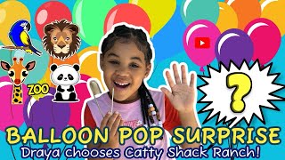 Balloon Pop Surprise Catty Shack Ranch [upl. by Anerul]