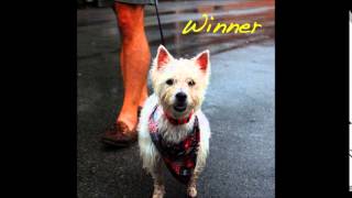 Alex G  WINNER Full Album [upl. by Laing198]