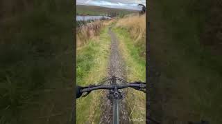 Beginner MTB  Carron Valley 🏴󠁧󠁢󠁳󠁣󠁴󠁿 mtb mtbgirl [upl. by Hamnet]