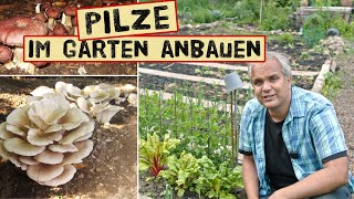 Pilze im Garten anbauen  Pilzbeet richtig anlegen und Jahrelang ernten  Braunkappen Austernpilze [upl. by Anerda]