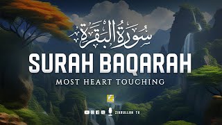 Surah Al Baqarah Full سورة البقره  Relaxing heart touching voice  Zikrullah TV [upl. by Culliton]