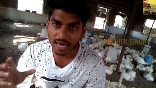 Coccidiosis in poultry farming [upl. by Elfie51]