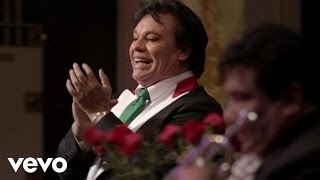 Juan Gabriel  Rondinella En Vivo Desde Bellas Artes México 2013 [upl. by Aihtenak958]