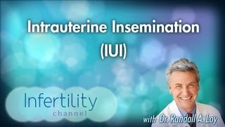 Intrauterine Insemination IUI [upl. by Nnylyma]