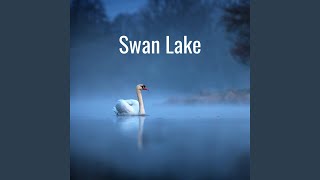 Tchaikovsky Tchaikovsky Swan Lake Op20 TH12  Act 3 No17 Scène Entrée des invités [upl. by Sauncho]