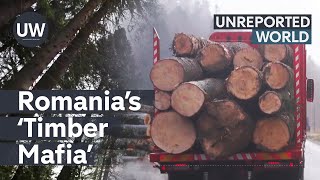 Romania’s deadly Timber Mafia  Unreported World [upl. by Waneta52]