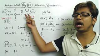 Amino acid charge at different pH and amino acid titration calculation problems [upl. by Allenotna]