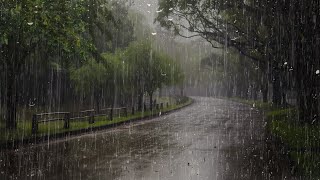 Lluvia Relajante Para Dormir en 3 Minutos  Sonido de Lluvia y Truenos en Bosque Brumoso  ASMR [upl. by Conal]