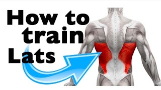 How to Train the Latissimus Dorsi 11 gym exercises [upl. by Leuas]