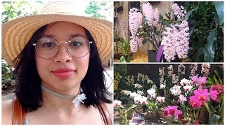 Orquídeas flores y artesanías │Feria de las flores Medellín 2018 │Candy Bu [upl. by Yelats892]