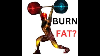 Does Weight Lifting BURN FAT FAT LOSS [upl. by Nata]