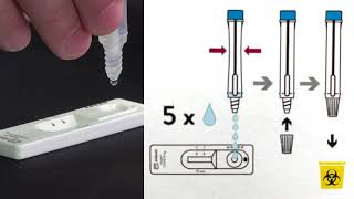 Rapid antigen screening [upl. by Larson]