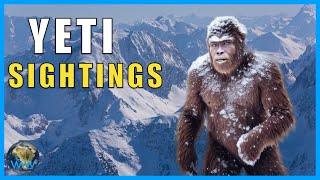 Unveiling the Mystery The Truth Behind the Yeti [upl. by Eiten872]