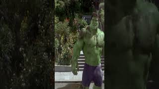 THE INCREDIBLE HULK  Coffin Dance Song COVER V3 [upl. by Hayyikaz]