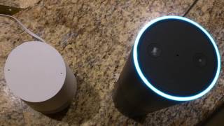 Alexa Amazon Echo and Google Home infinite loop conversation [upl. by Dulla169]