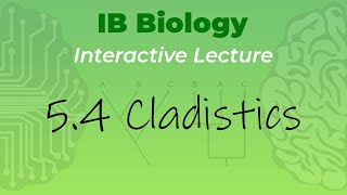 IB Biology 54  Cladistics  Interactive Lecture [upl. by Etnoed551]