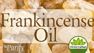 Frankincense Essential Oil  All You Need To Know [upl. by Yevad593]