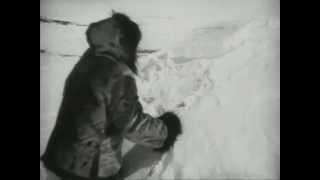 Nanook of the North 1922  How to build an igloo [upl. by Auohs209]