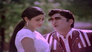 Panchami Poota Manchidhani Video Song  Sriranganeetulu Movie  ANRSridevi [upl. by Dud772]