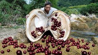 The girl pried open the native clam revealing countless dazzling pearls which were very charming [upl. by Oech]