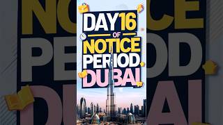 GOVERNMENT JOBS IN DUBAI FOR INDIAN Day 1630 Notice Period iamhvr dubaijobs 30daynoticeperiod [upl. by Jauch571]