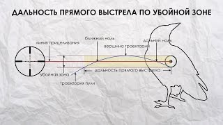 ПРЯМОЙ ВЫСТРЕЛ И ОПТИМАЛЬНАЯ ДИСТАНЦИЯ ПРИСТРЕЛКИ [upl. by Xuaeb]