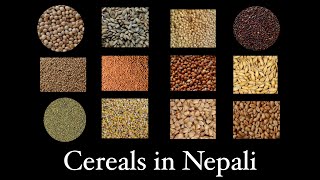 Cereal names in Nepali  Learn cereal names in English and Nepali [upl. by Eiten]