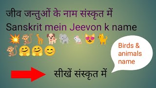 संस्कृत में जीव जंतुओं के नाम sikhe Sanskrit mein pashu pakshiyon ya jeev jantuon ke naam🐒🐕🦜🐘🐁🐁😍💫 [upl. by Iney]