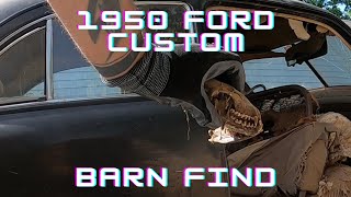 1950 Ford Custom Barn Find [upl. by Damales]