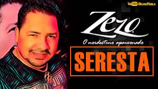 Zezo 2018 o melhor da Seresta [upl. by Nichy890]