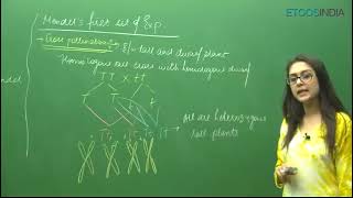 Hereditary and Evolution Part  6  Mendels Experiment  Class 10 Science Biology [upl. by Aretse608]