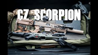 CZ Scorpion Evo 3 Review [upl. by Heinrich]