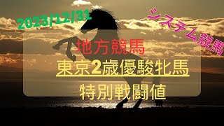 【地方競馬重賞予想】2023年12月31日東京2歳優駿牝馬競走 [upl. by Ahsienod]