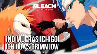 ¡BATALLA FINAL  ICHIGO vs GRIMMJOW  Español Latino [upl. by Kowalski]