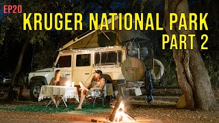 Kruger National Park Part 2  Letaba Olifants Balule and Satara EP20 [upl. by Lebatsirhc]