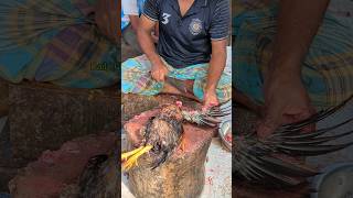 Amazing Special Desi Chicken Cutting Skills In Bangladesh Chicken Market 😱 shorts [upl. by Paterson]