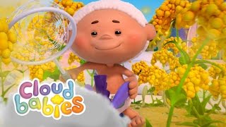 Achoo 🤧  Cloudbabies Full Episode  Cloudbabies Official [upl. by Anaigroeg]