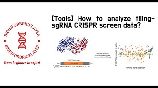 【Bioinformatics  Tools 05】 How to analyze tilingsgRNA CRISPR screen data [upl. by Bryna462]