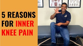 5 Common Causes For Inner Knee Pain [upl. by Haleak581]