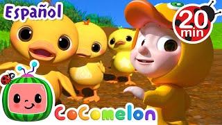 Diez patitos  Canciones Infantiles  Caricaturas para bebes  CoComelon en Español [upl. by Marylin]