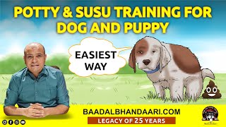 How to Potty amp Susu Pee Training Puppy or Adult Dog at Home  Indoor or Outdoor  Baadal Bhandaari [upl. by Rumney]