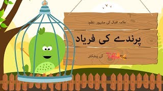 Toffee TV  Parinday Ki Faryaad  A Poem By Allama Iqbal  Kids Urdu Poem [upl. by Mayda]