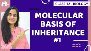 MOLECULAR BASIS OF INHERITANCE in 120 Minutes  Complete Chapter for NEET [upl. by Nangem]