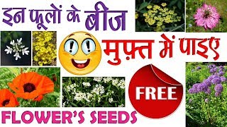 इन फूलों के बीज मुफ्त में पाइए  Beautiful Flowers Seeds For free [upl. by Ynoffit]