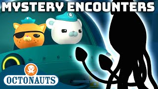 ​Octonauts  Mystery Encounters 👾🐙  60 Mins Compilation  Underwater Sea Education [upl. by Hy]