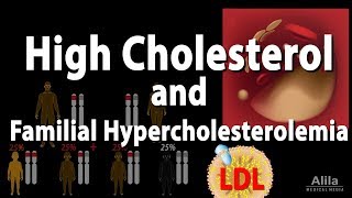 High Cholesterol and Familial Hypercholesterolemia Animation [upl. by Kyte]